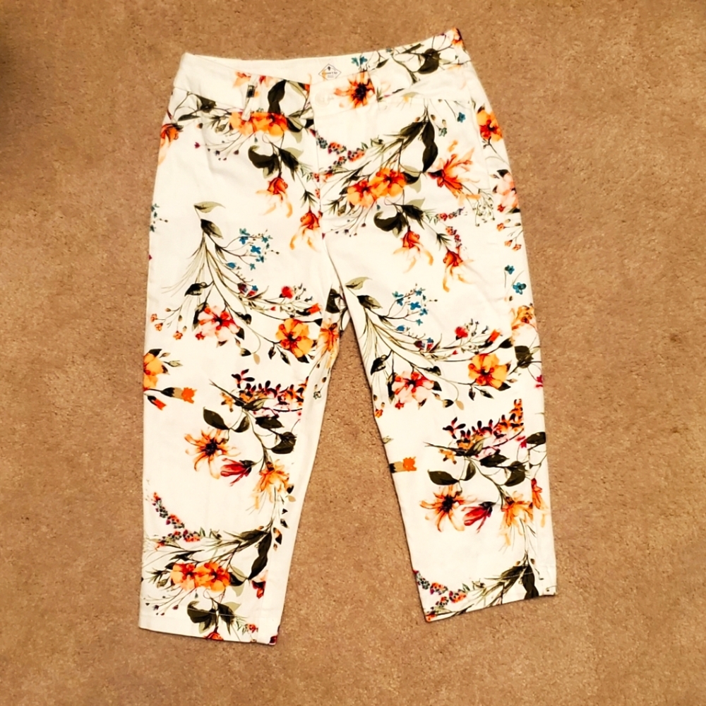 ST JOHNS BAY CAPRIS